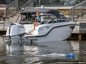 Silver Tiger DCz 20