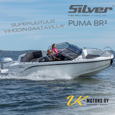 Silver Puma